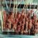 Cooksnap dari Juanito Wahyu untuk resep Sate kambing