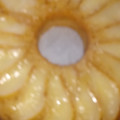 El cooksnap de mariana cuando hizo Torta invertida de manzanas.