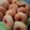 Cooksnap dari Nur Erma untuk resep Donat Lembut Super Kilat 1x proofing