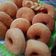 Cooksnap dari Nur Erma untuk resep Donat Lembut Super Kilat 1x proofing