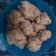 Cooksnap dari Ika Suartika untuk resep Bakso Sapi Homemade