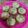 Cooksnap dari Desy Herdiani untuk resep Tahu kukus goreng isi telur puyuh 🥚😉