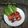 Cooksnap dari Pujani Handayani untuk resep Ayam Goreng Bacem