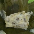Cooksnap dari Na² maminya vio&vian untuk resep Carang Gesing Pisang Kepok (Pistuban/Barongko)
