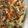Cooksnap dari inneke untuk resep Capjay Goreng Maknyus