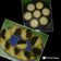 Cooksnap dari k tanti untuk resep Martabak Bolu Mini