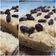 Cooksnap dari Maya untuk resep 03. Bolu pisang tanduk oat kukus