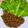 Cooksnap dari Elissa Febriani untuk resep Beef Lettuce Wrap