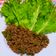 Cooksnap dari Elissa Febriani untuk resep Beef Lettuce Wrap