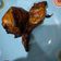 Cooksnap dari Vanesha Alma Fitresia untuk resep Mix herbs roasted chicken (air fryer)