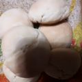 El cooksnap de Maru Sol Lezcano cuando hizo Panes de manteca para sandwiches.