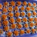 Cooksnap dari Rafani Rozaq untuk resep Dimsum ayam udang