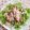 รูป Cooksnap ของ ครัวนุ้งแคท เมื่อเขาทำ สูตรน้ำสลัด