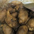 Cooksnap dari Dian untuk resep Kepala Ayam ungkep