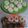 Cooksnap dari Retno Salindri untuk resep Donat 🍩 NO (ulen, kentang, telur)