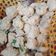 Cooksnap dari Saher Dzihnimaulana untuk resep Bakso ayam homeMade