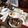 fixme's cooksnap of when they made Grilled asparagus and calamari steaks with a Thai sauce.
