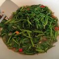 Cooksnap dari Hadina untuk resep Kangkung saos tiram