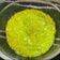 Akanksha Pulkit का कुकस्नैप जब उन्होंने होममेड ग्लिटर डस्ट(homemade glitter dust recipe in hindi) बनाया था।