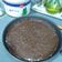 El cooksnap de Corina Buga cuando hizo Lemon pie con base de chocolate.