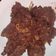 Cooksnap dari Atika Widiantoro untuk resep Rendang daging bumbu instan SASA simpel
