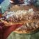El cooksnap de Karen Martinez cuando hizo 🥥Torta de coco y dulce de leche!!! 🥥.