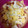El cooksnap de Virginia. cuando hizo Salmorejo cordobés.