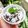 Cooksnap dari Noona Hilda ✅️ untuk resep Ice Cream Whip Cream Oreo