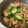 Cooksnap của Bòn Bon khi họ làm theo món Tré trộn
