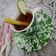 Cooksnap dari eka prihamdhani untuk resep Teh Serai