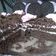 Cooksnap dari Siti's Kitchen untuk resep Brownies Kukus Ketan Item