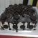 Cooksnap dari Susanti Itdeham untuk resep Brownies Panggang Lembut
