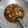 Cooksnap dari Alfiah Okkiana untuk resep Swike Ayam