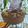 Cooksnap dari ollien untuk resep Bolu coklat jadul