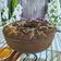 Cooksnap dari ollien untuk resep Bolu coklat jadul