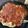 El cooksnap de Natalia Gonzalez cuando hizo Salsa de salchicha parrillera para pastas.