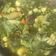 El cooksnap de anita cuando hizo Sopa Menestrón.