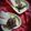 Chaandrani Ghosh Datta's cooksnap of when they made কার্স্টাড (Custard recipe in Bengali).