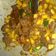 Cooksnap dari Nike Poerbyanti untuk resep Semur Daging Sapi Kentang #kitaberbagi