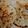 Shah Prity Shah Prity's cooksnap of when they made બાજરાના રોટલા(bajra na rotlo recipe in Gujarati).