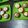El cooksnap de belen cuando hizo Muffins de vainilla facil y riquísimos!!.