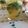 El cooksnap de Andreasn cuando hizo Mojito.
