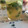 El cooksnap de Andreasn cuando hizo Mojito.