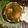 Reshmi Deb's cooksnap of when they made ডিম সর্ষে (dim sorshe recipe in bengali).