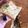 El cooksnap de Valentina Rodríguez cuando hizo Torta sin harina de trigo de banana en licuadora.