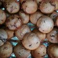 Zsófia Cooksnap-ja, amikor elkészítette a(z) Puha dupla csokis muffin receptet.