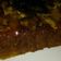 El cooksnap de Tere Ludueña cuando hizo Torta invertida de manzana y pera facilísima.