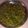 heena's cooksnap of when they made પાપડી નું શાક (Papdi Shak Recipe In Gujarati).