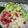 Cooksnap dari Martian Prasetyani untuk resep Salad dengan saus yoghurt strawberry