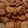 Cooksnap dari montix assegaf untuk resep Choco Chip Cookies